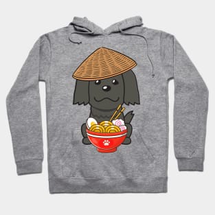 Funny Black Dog Eating Noodles Hoodie